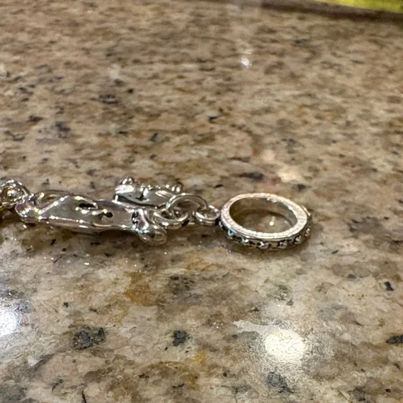 Silver and Gold Pet Charm Bracelet - Picture 5 of 5